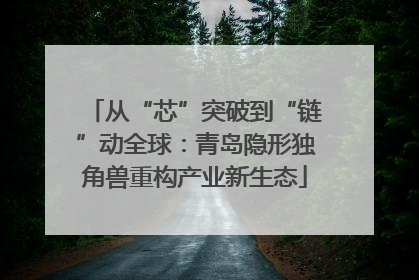 从“芯”突破到“链”动全球：青岛隐形独角兽重构产业新生态