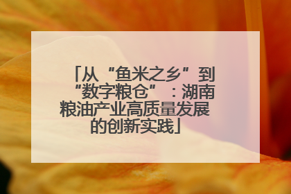 从“鱼米之乡”到“数字粮仓”：湖南粮油产业高质量发展的创新实践