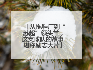 从拖鞋厂到“苏超”领头羊，这支球队的故事堪称励志大片
