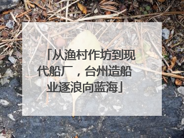 从渔村作坊到现代船厂，台州造船业逐浪向蓝海