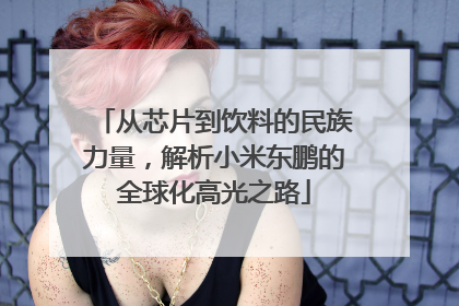 从芯片到饮料的民族力量，解析小米东鹏的全球化高光之路
