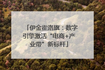 伊金霍洛旗：数字引擎激活“电商+产业带”新标杆