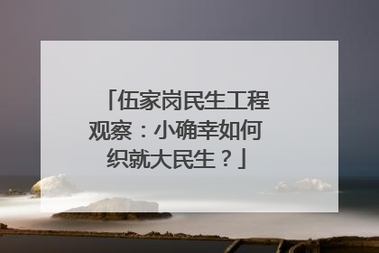 伍家岗民生工程观察：小确幸如何织就大民生？