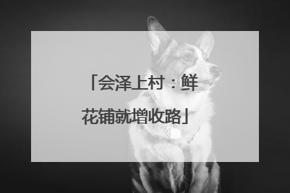 会泽上村：鲜花铺就增收路