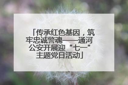 传承红色基因，筑牢忠诚警魂——通河公安开展迎“七一”主题党日活动