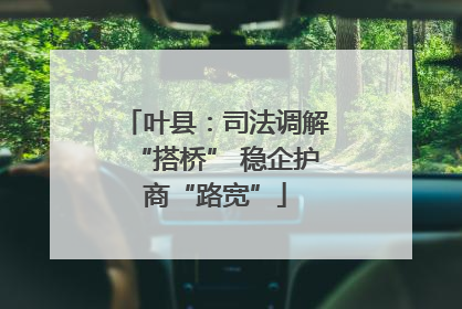 叶县：司法调解“搭桥” 稳企护商“路宽”