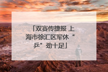 双赛传捷报 上海市徐汇区军休“乒”劲十足