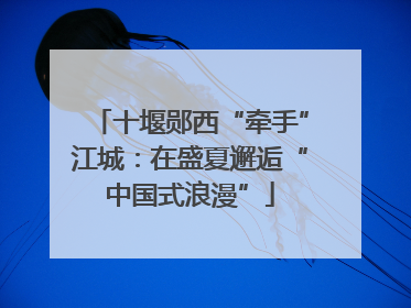 十堰郧西“牵手”江城：在盛夏邂逅“中国式浪漫”