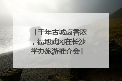 千年古城卤香浓，福地武冈在长沙举办旅游推介会