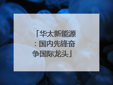 华太新能源：国内先锋奋争国际龙头