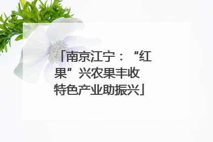 南京江宁：“红果”兴农果丰收 特色产业助振兴