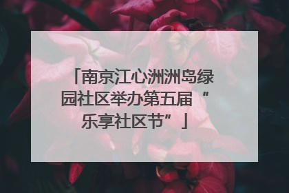 南京江心洲洲岛绿园社区举办第五届“乐享社区节”