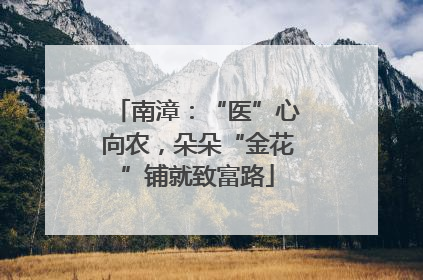 南漳：“医”心向农，朵朵“金花”铺就致富路