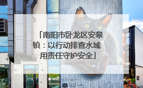 南阳市卧龙区安皋镇：以行动排查水域 用责任守护安全