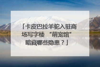 卡皮巴拉羊驼入驻商场写字楼 “萌宠馆”暗藏哪些隐患？