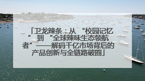 卫龙辣条：从 “校园记忆” 到 “全球辣味生态领航者”——解码千亿市场背后的产品创新与全链路破圈
