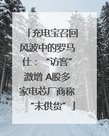 充电宝召回风波中的罗马仕：“访客”激增 A股多家电芯厂商称“未供货”