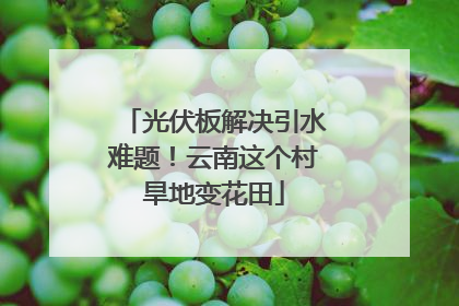 光伏板解决引水难题！云南这个村旱地变花田