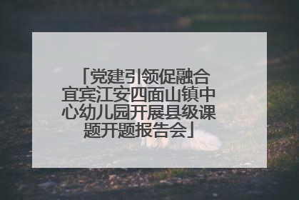 党建引领促融合 宜宾江安四面山镇中心幼儿园开展县级课题开题报告会