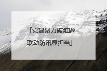 党建聚力破难题 联动防汛显担当