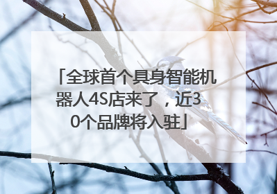 全球首个具身智能机器人4S店来了，近30个品牌将入驻