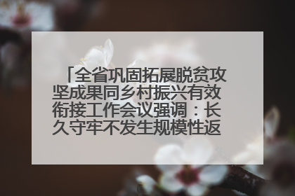 全省巩固拓展脱贫攻坚成果同乡村振兴有效衔接工作会议强调：长久守牢不发生规模性返贫致贫底线 王宁出席并讲话 王予波主持