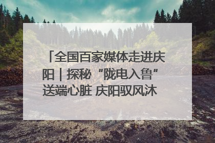 全国百家媒体走进庆阳｜探秘“陇电入鲁”送端心脏 庆阳驭风沐光点亮齐鲁万家