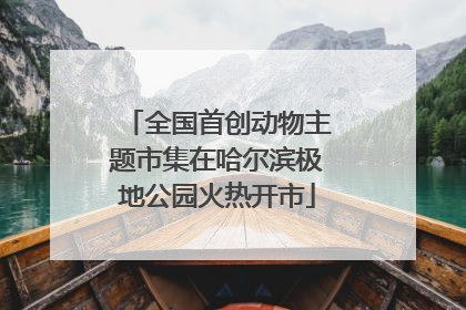 全国首创动物主题市集在哈尔滨极地公园火热开市