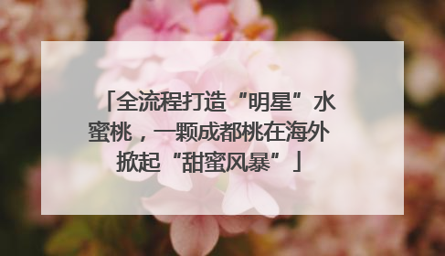 全流程打造“明星”水蜜桃，一颗成都桃在海外掀起“甜蜜风暴”