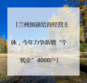 兰州加速培育经营主体，今年力争新增“个转企”4000户