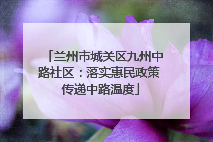 兰州市城关区九州中路社区：落实惠民政策 传递中路温度