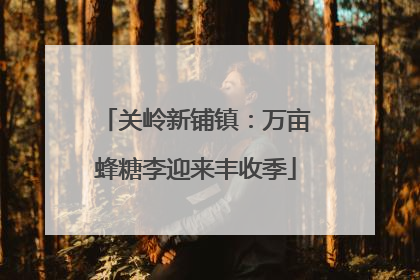 关岭新铺镇：万亩蜂糖李迎来丰收季