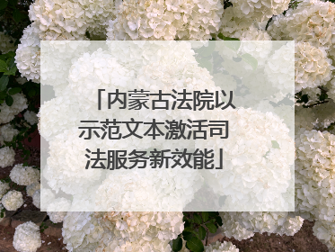 内蒙古法院以示范文本激活司法服务新效能