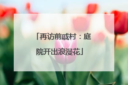 再访前戚村：庭院开出浪漫花