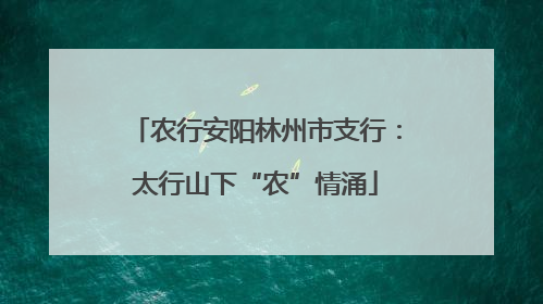 农行安阳林州市支行：太行山下“农”情涌