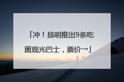 冲！昆明推出9条吃菌观光巴士，票价→