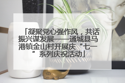凝聚党心强作风，共话振兴谋发展——通城县马港镇金山村开展庆“七一”系列庆祝活动