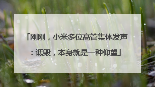 刚刚，小米多位高管集体发声：诋毁，本身就是一种仰望