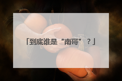 到底谁是“南哥”？