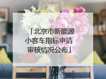 北京市新能源小客车指标申请审核情况公布