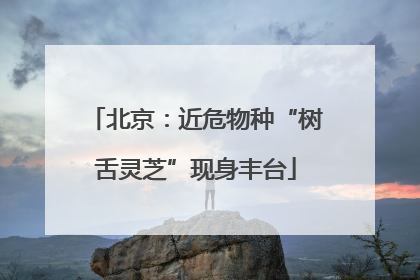 北京：近危物种“树舌灵芝”现身丰台