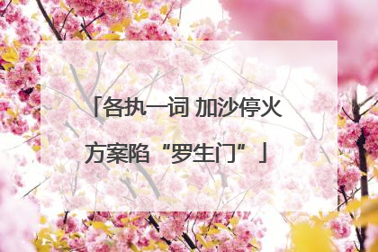 各执一词 加沙停火方案陷“罗生门”