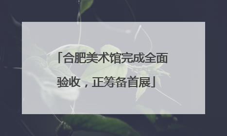 合肥美术馆完成全面验收，正筹备首展
