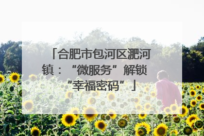 合肥市包河区淝河镇：“微服务”解锁“幸福密码”