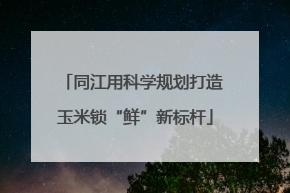 同江用科学规划打造玉米锁“鲜”新标杆