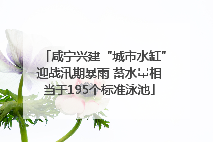 咸宁兴建“城市水缸”迎战汛期暴雨 蓄水量相当于195个标准泳池