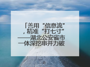 善用“信息流”，精准“打七寸”——湖北公安省市一体深挖串并力破民生案