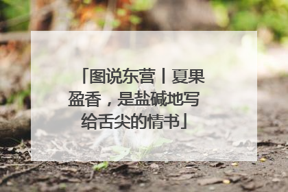 图说东营丨夏果盈香，是盐碱地写给舌尖的情书
