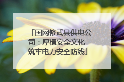 国网修武县供电公司：厚植安全文化 筑牢电力安全防线
