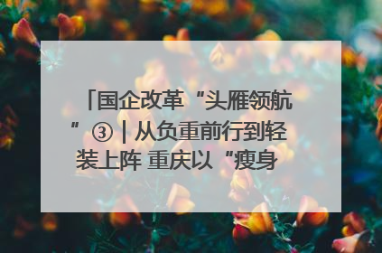 国企改革“头雁领航”③｜从负重前行到轻装上阵 重庆以“瘦身”谋“健体”